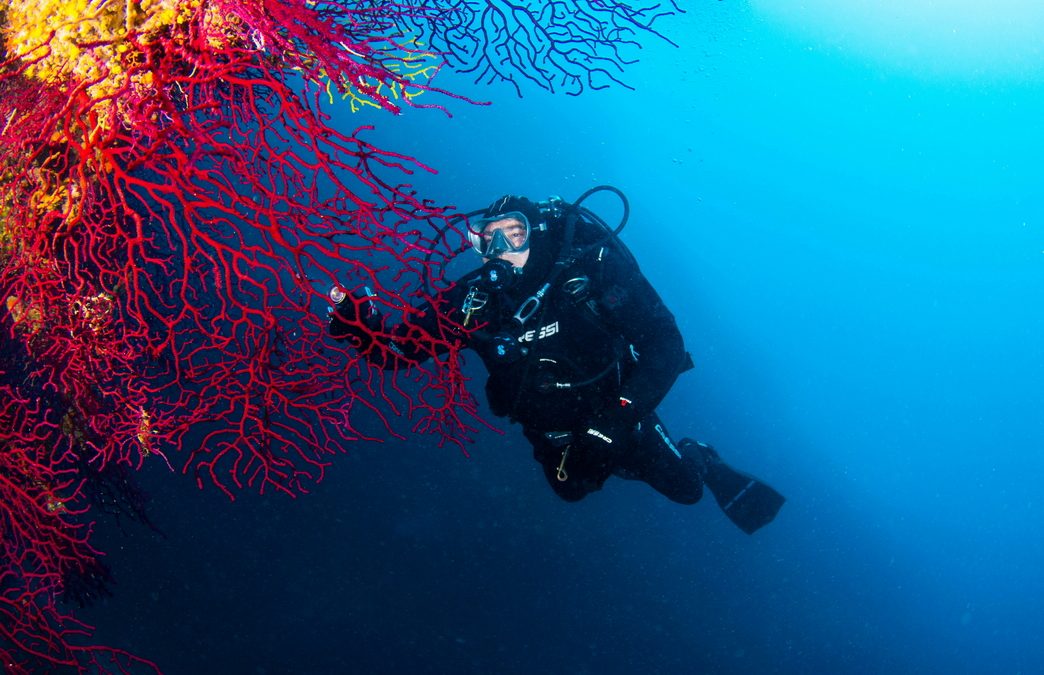 Szezonnyitó búvártúra Horvátországban