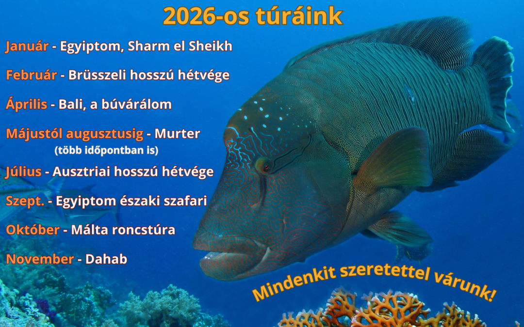 2026-os búvártúráink