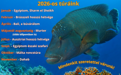 2026-os búvártúráink
